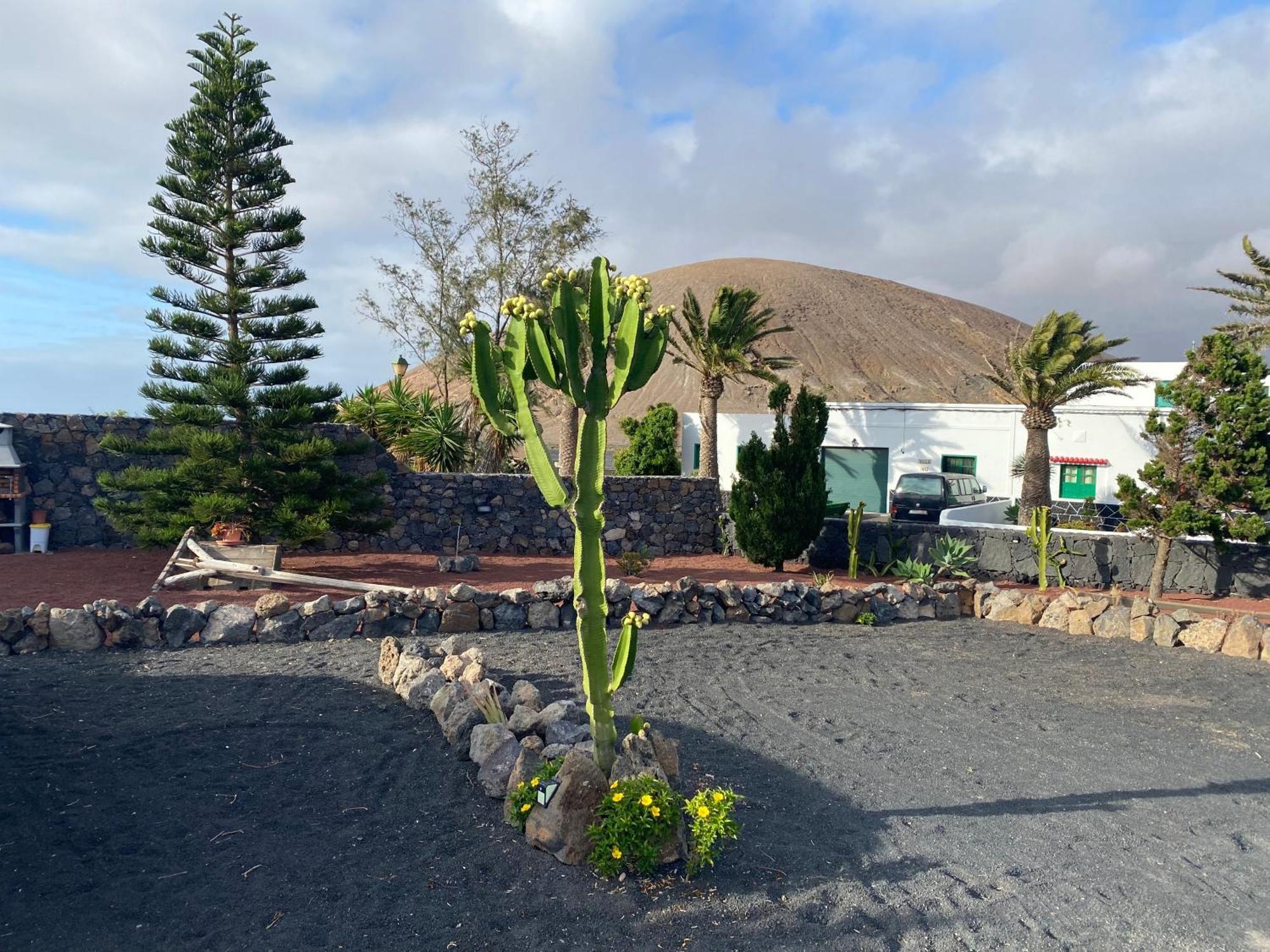 Casa Carla Villa La Vegueta Luaran gambar