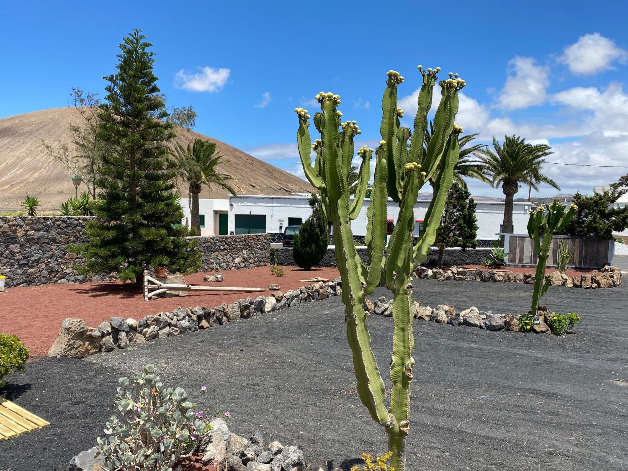 Casa Carla Villa La Vegueta Luaran gambar